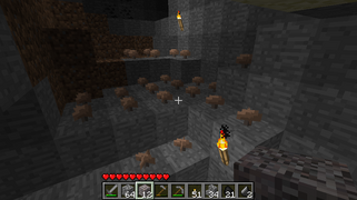 «Месторождение» коричневых грибов в пещере